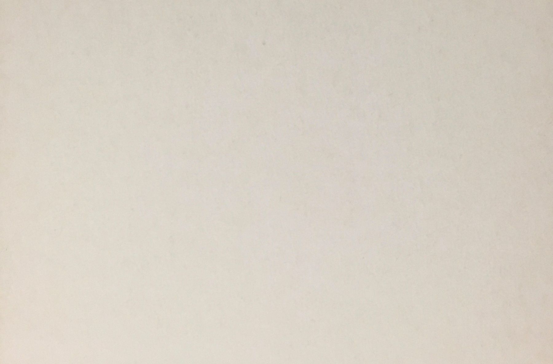 Cartoline postali: Fritz Hug, Vogel, Sattelstorch – Usato da Frauenfeld venduto da Merk52 1
