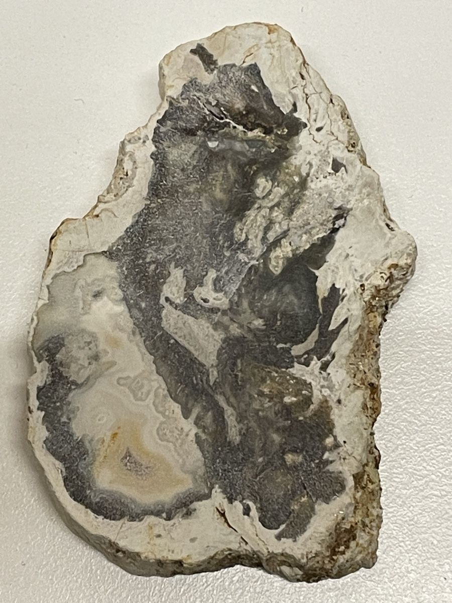 Minerali & Pietre curative: Heilstein / versteinertes Holz / Edelstein – Usato da Rümlang venduto da euqinom16 2