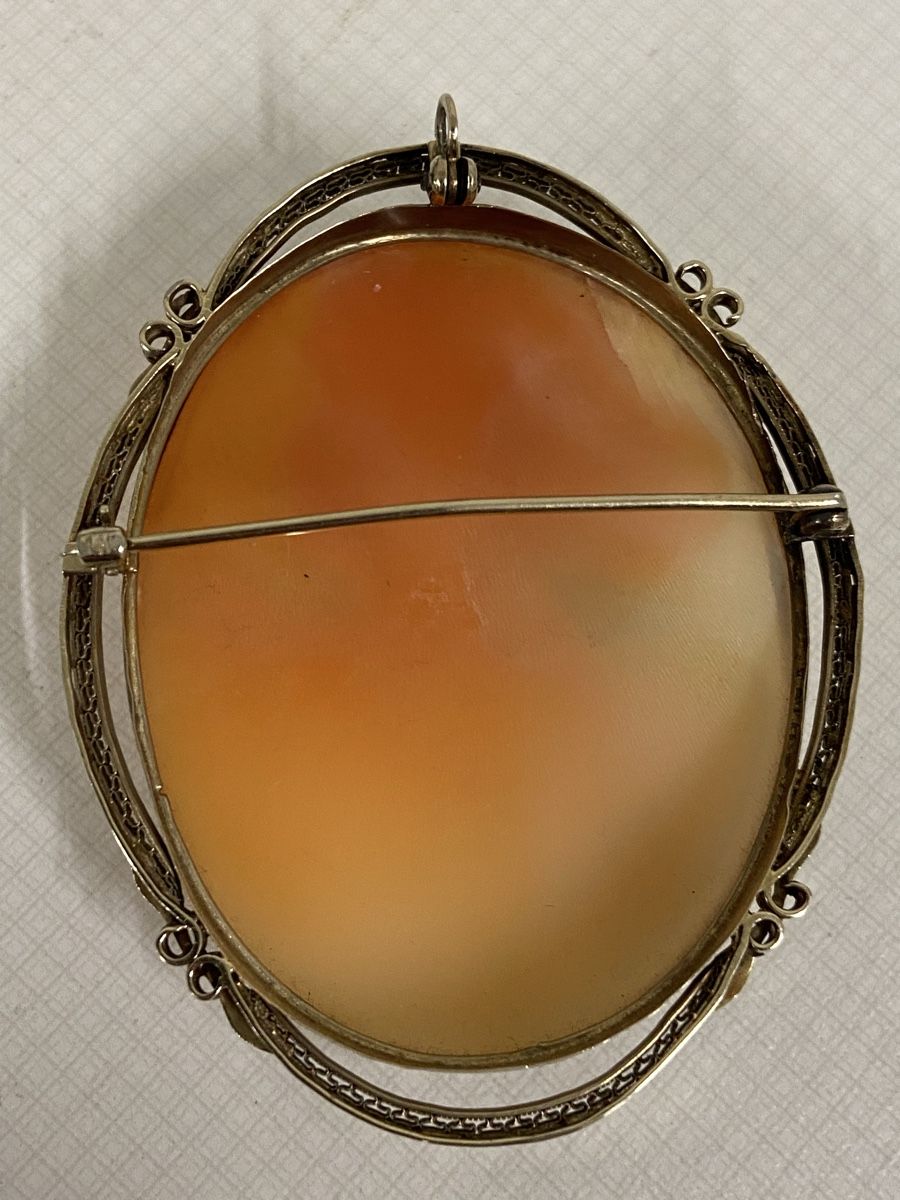 Broschen & Nadeln: Antike Cameo/Brosch 14 Karat Gold – Gebraucht aus Dietikon von brocki-eyra 1