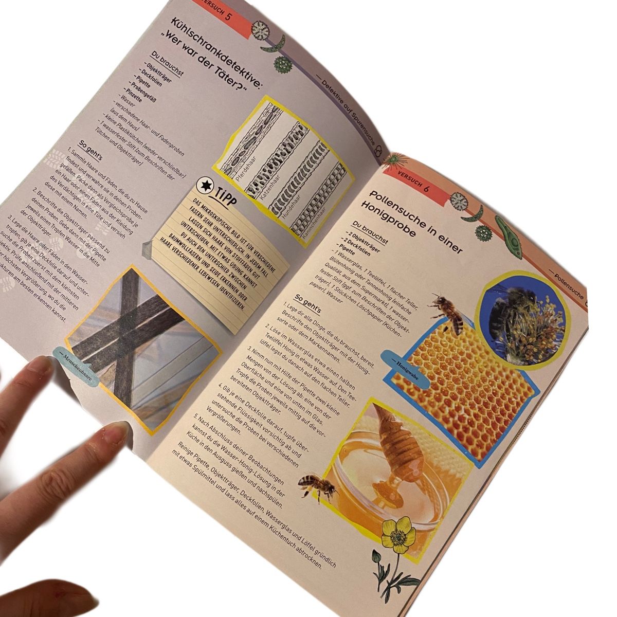 Mikroskopie: Kosmos Mikroskop – Gebraucht aus Bonstetten von zweitihand.shop 3