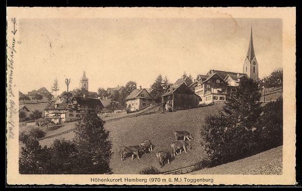 Cartes postales: AK Hemberg, Gesamtansicht – D'occasion à Berlin par bartko-reher
