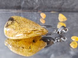 SALE Echter Bernstein Anhänger Kette massiv Naturbernstein