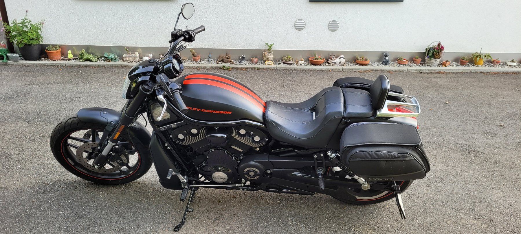 Harley-Davidson Chopper: Harley Davidson VRSCDX Night Rod Special – Gebraucht aus Schönenberg ZH von Split 1