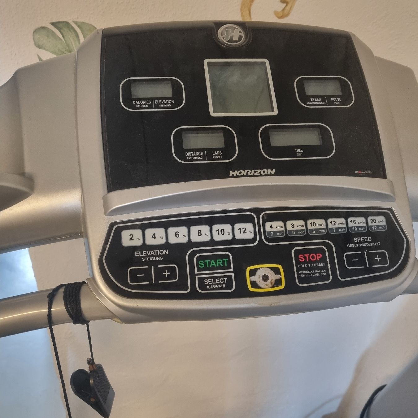 Hometrainer: HORIZON Paragon Laufband – Usato da Aettenschwil venduto da jepe24 1