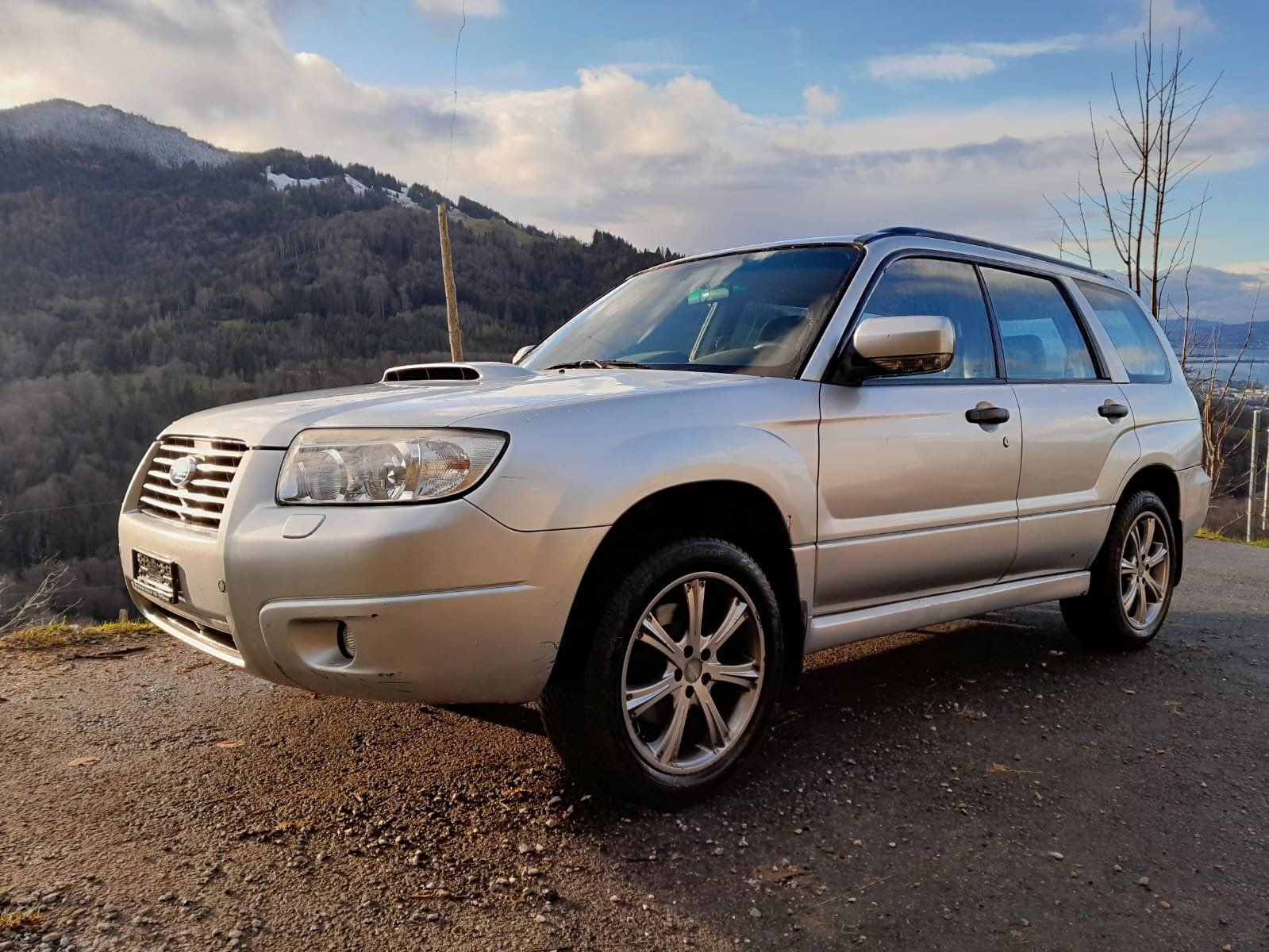 Subaru Autos: Subaru Forester Turbo 2.5 – Gebraucht aus Siebnen von