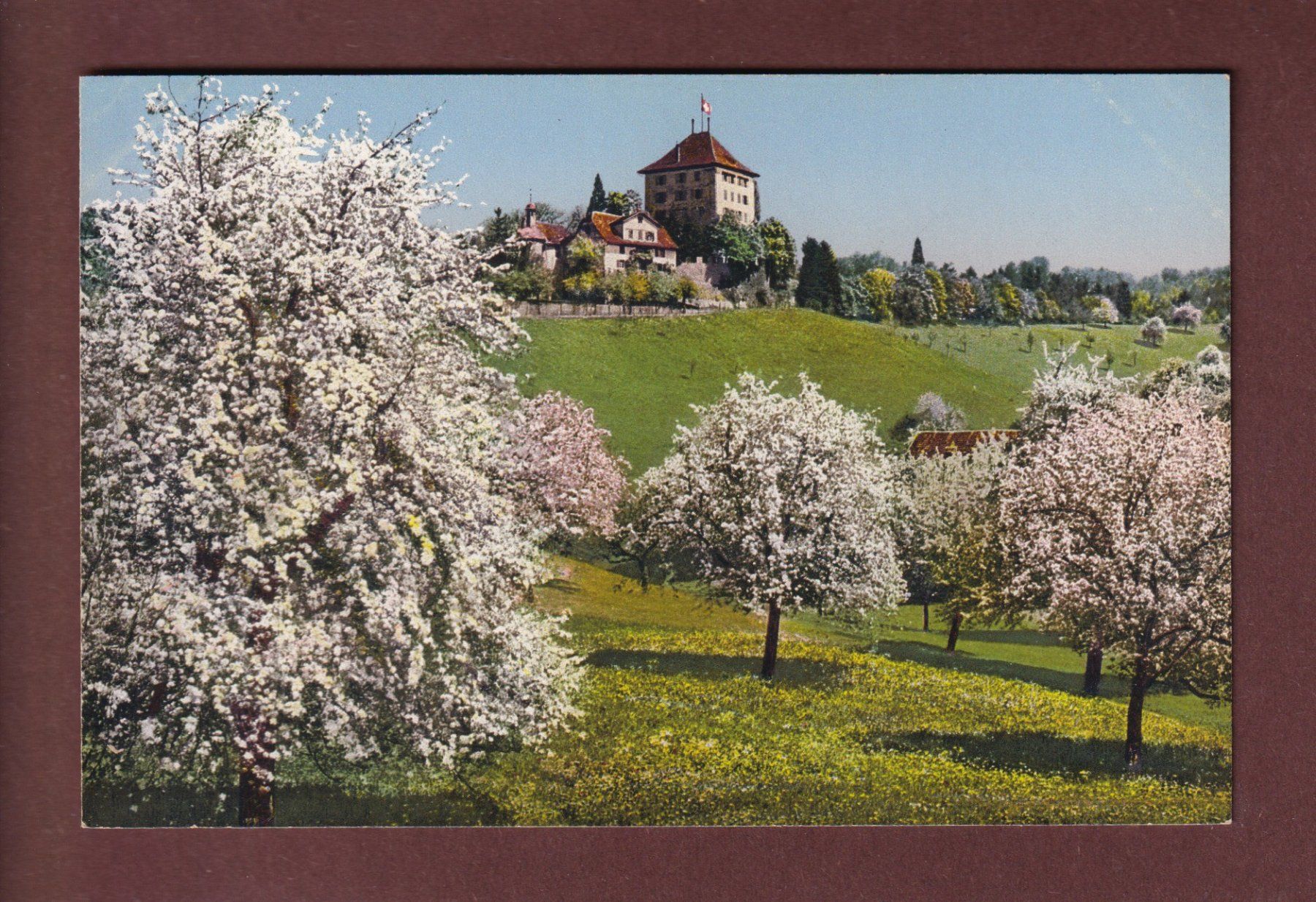 Ansichtskarten: Gelfingen - SCHLOSS HEIDEGG – Gebraucht aus Pully von nicecards-shop