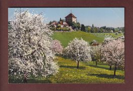 Gelfingen - SCHLOSS HEIDEGG