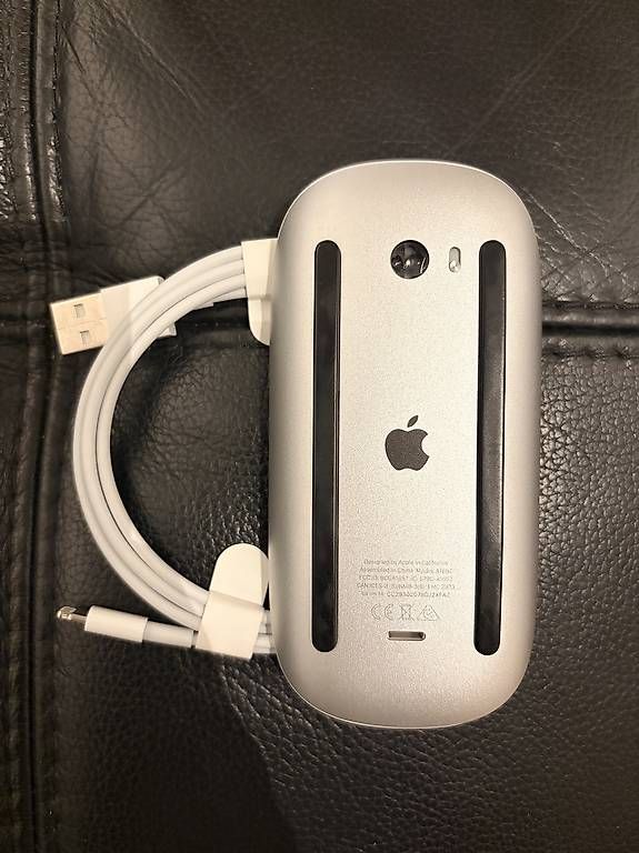 Apple Maus: Apple Magic Mouse (USB-C) – Gebraucht aus Genève von tam_t5l2 1