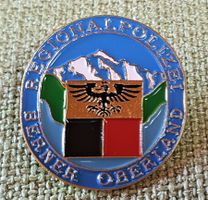 E387 - Pin Regio Polizei Berner Oberland  Nr. 799