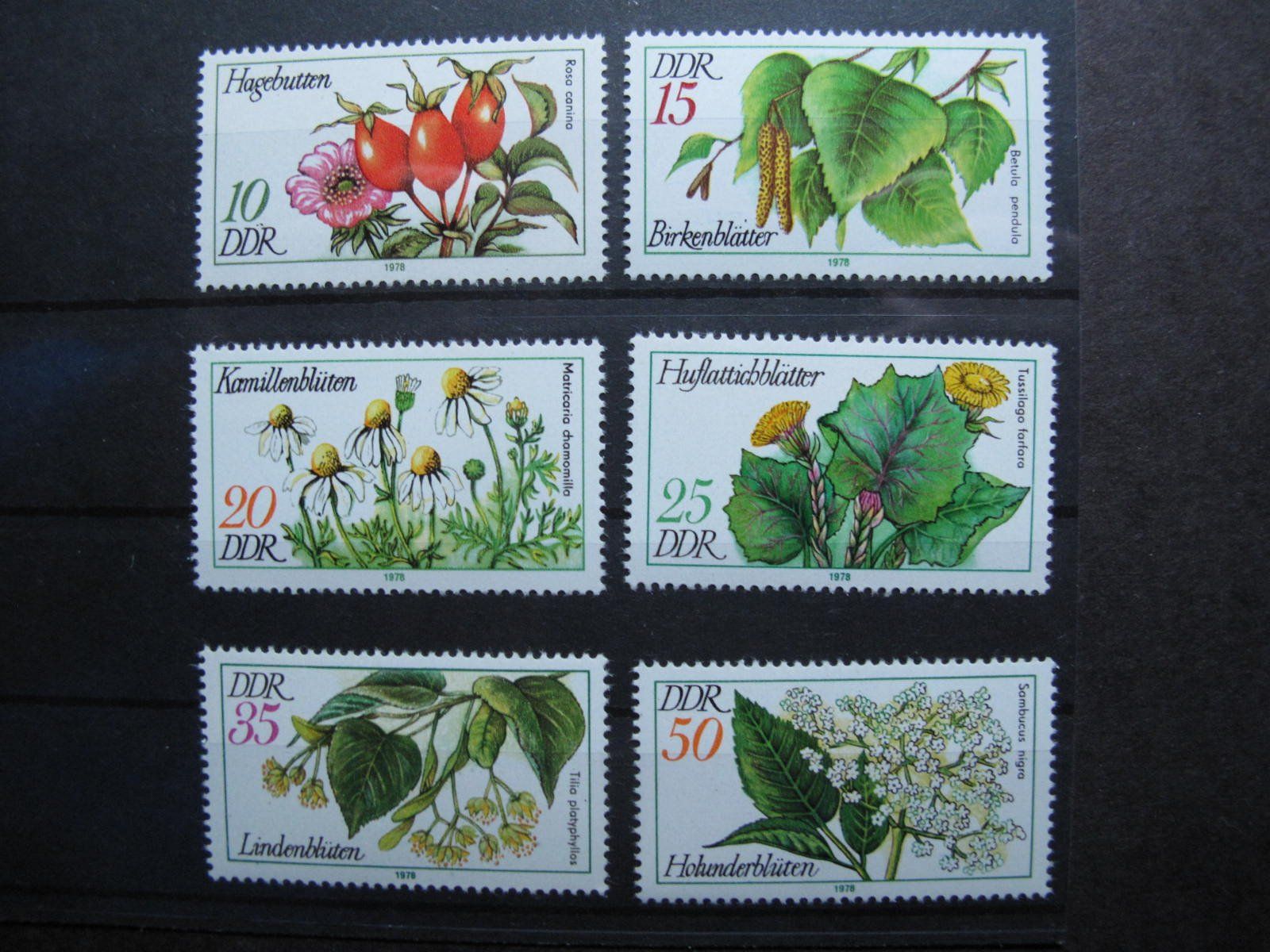 Alle Briefmarken: DDR 1978 Arzneipflanzen ** – Gebraucht aus Wil SG von fva01