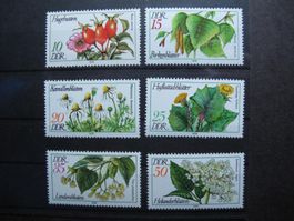 DDR 1978 Arzneipflanzen **