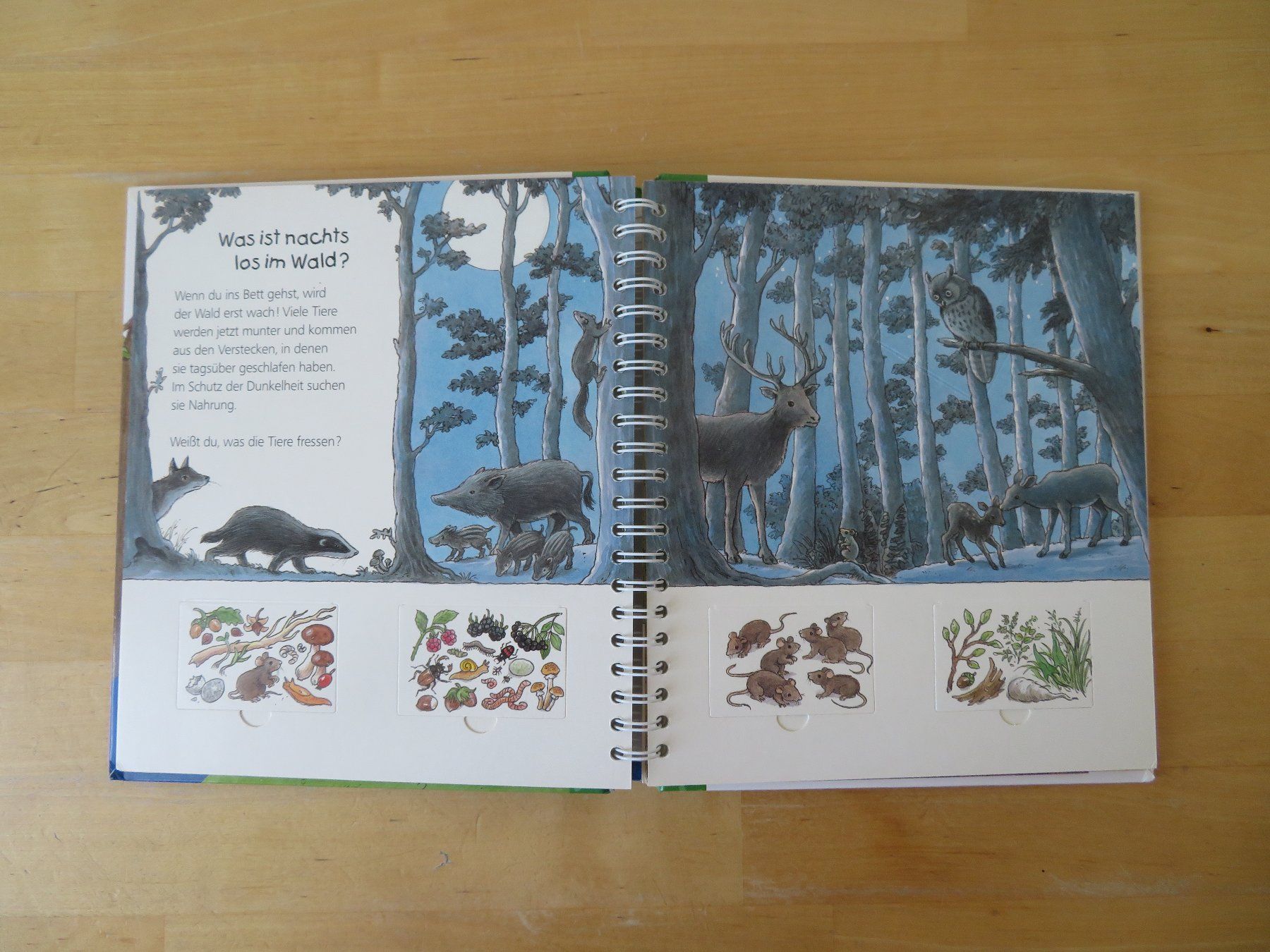 Libri: WIESO? WESHALB? WARUM? Junior "Der Wald" – Usato da Zürich venduto da piroma 2