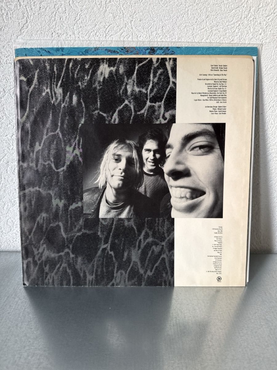 Dischi in vinile: Nirvana - Nevermind Vinyl Record - Excellent Condition! – Usato da Riehen venduto da m_nied 3