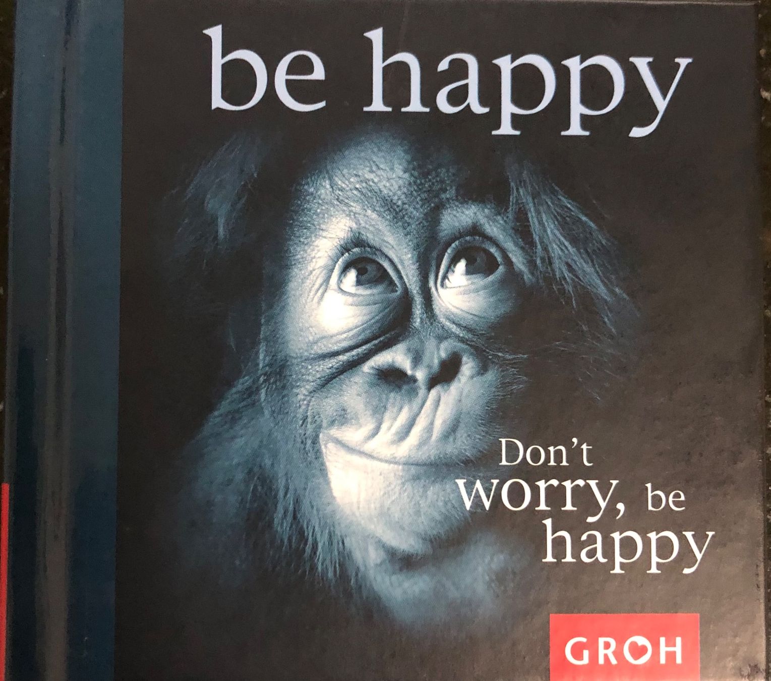 Bücher: Don`t worry, be happy , GROH , Chiara Doran – Neu (gemäss Beschreibung) aus Hochfelden von powerplay61