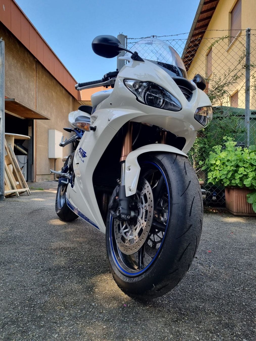 Triumph Route: Triumph Daytona 675 SE – D'occasion à Lamone par Dany_19 4