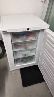 LIEBHERR Mini Gefrierschrank 103 Liter