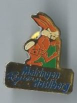 Placchette & Badge: Meiringen Region Hasliberg, Pin – Usato da Zürich venduto da t24_de