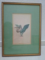Antiker botanischer Stich - Cypripedium acaule 1792