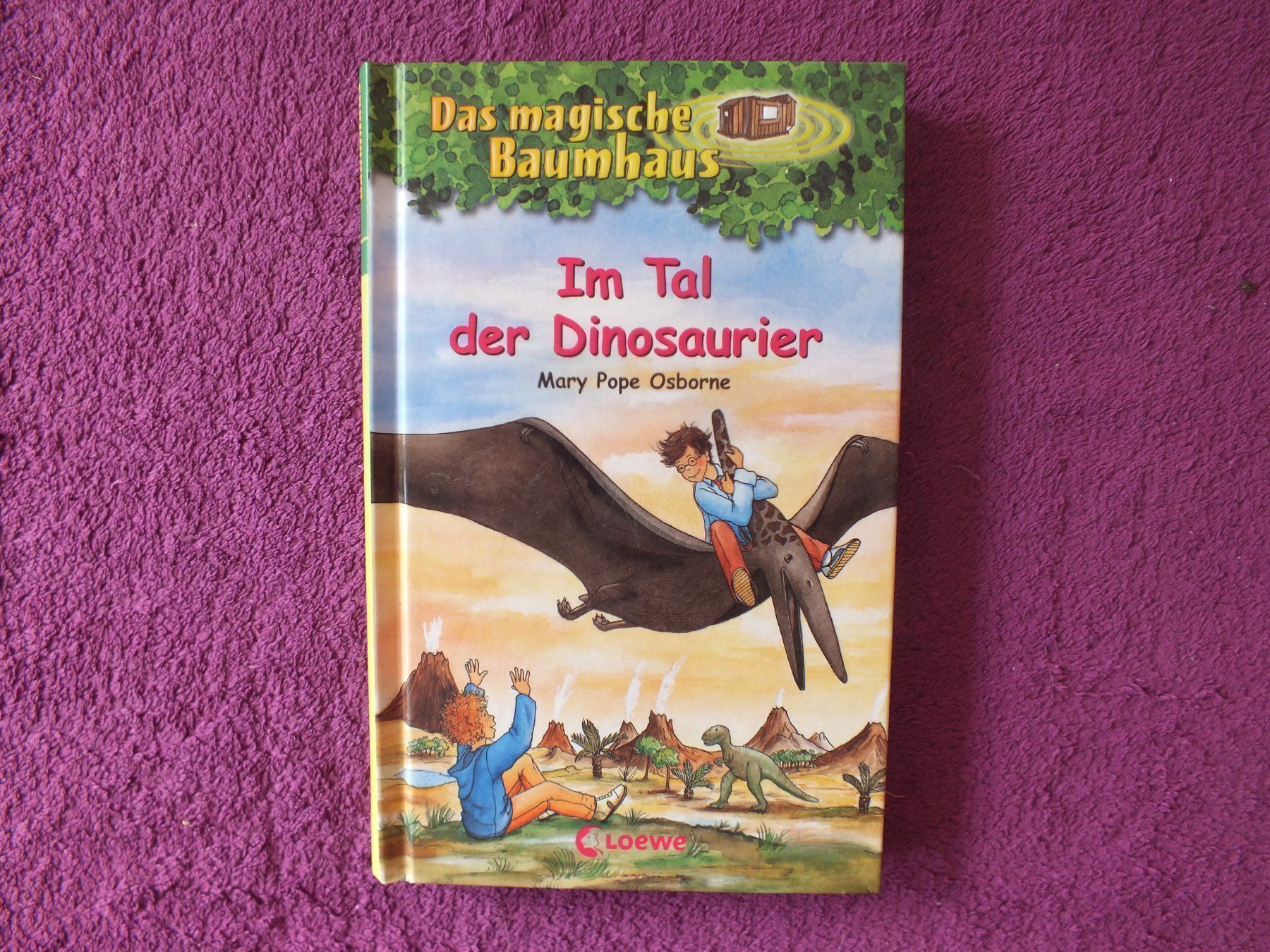 Bücher: Das magische Baumhaus 3er Bücher Set – Gebraucht aus Müllheim Dorf von Seeeule01 2