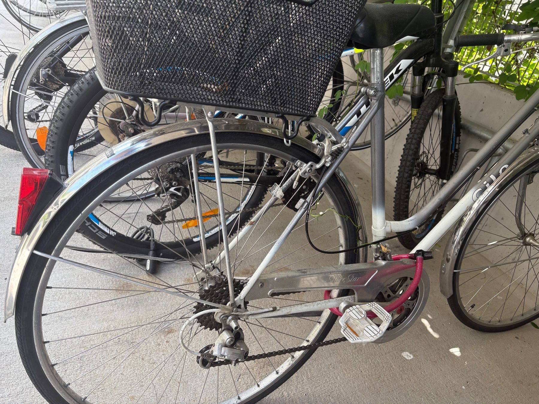 Cilo Velos: Cilo Damenfahrrad – Defekt aus Chur von _Nadine. 2
