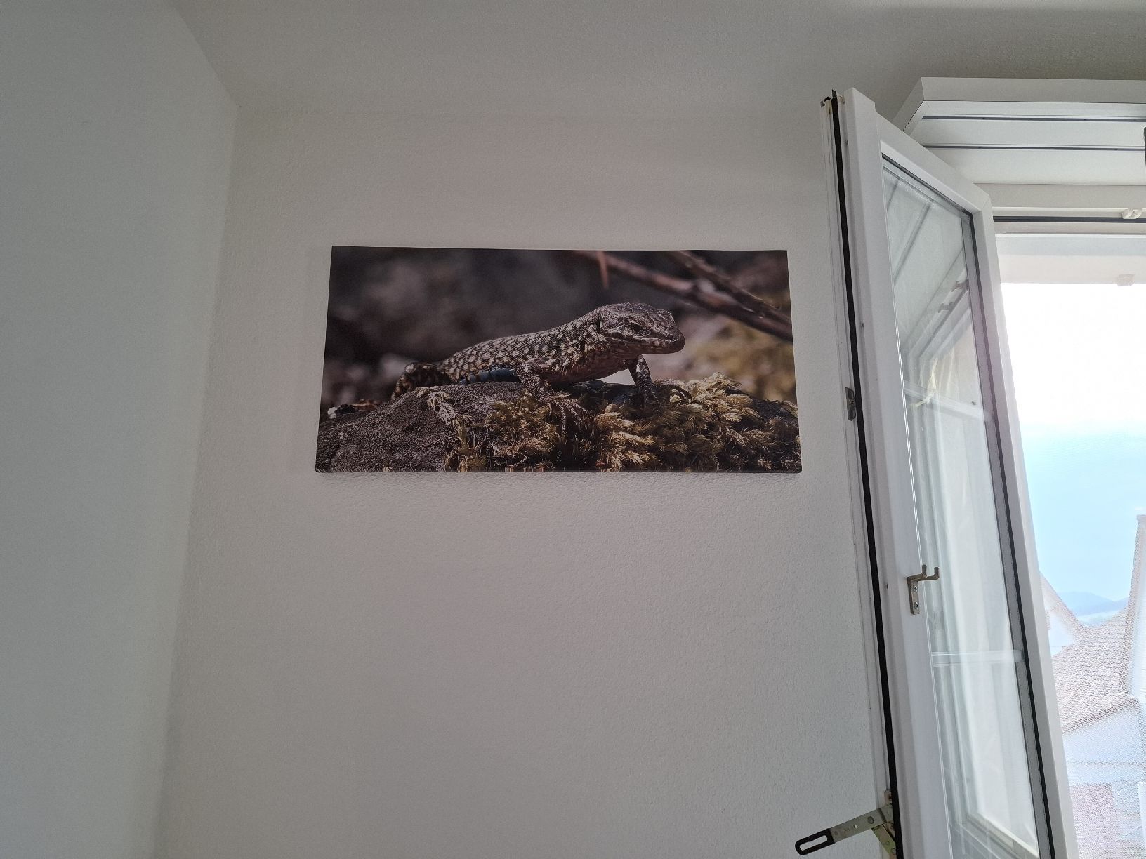 Poster & Bilder: Leinwandbild Eidechse auf Stein  – Gebraucht aus Oberhelfenschwil von Buffy1980