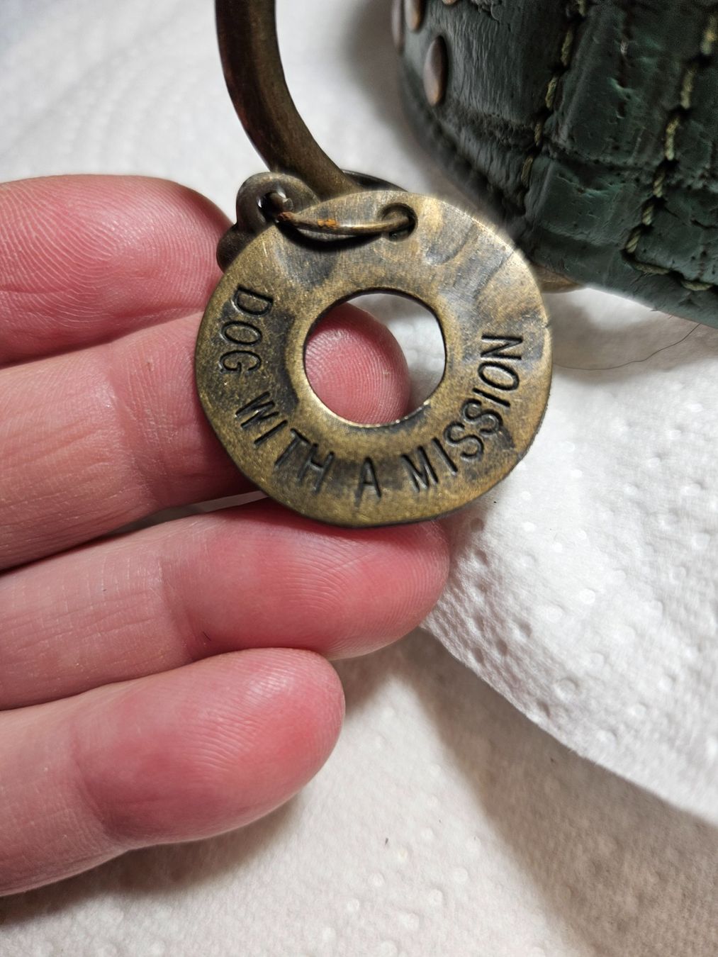 Guinzagli & Collari: Hundehalsband Leder – Usato da Beringen venduto da Sternschnappi 7