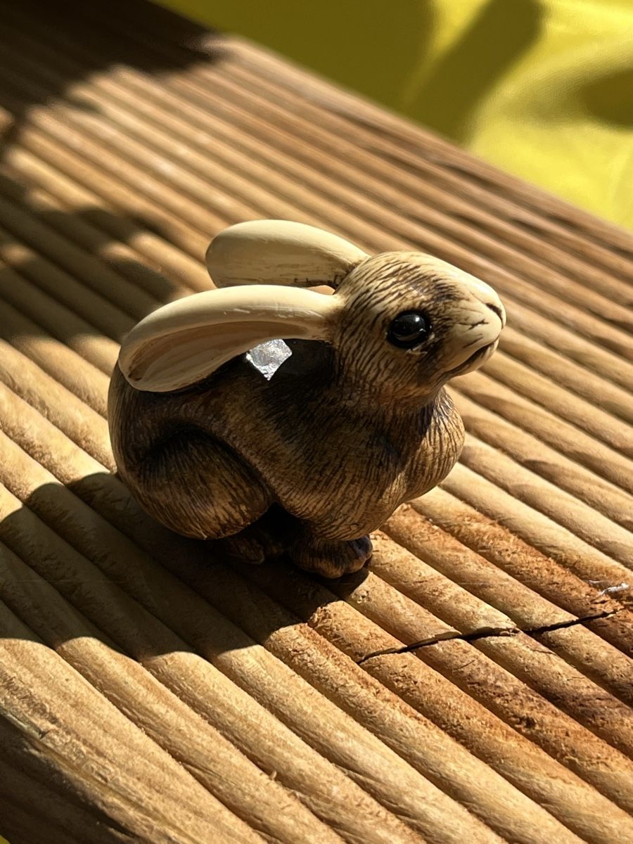 Statuette: 4 netsuke bunny, hund, ratte, welpe – Usato da Lengnau BE venduto da Meij 6