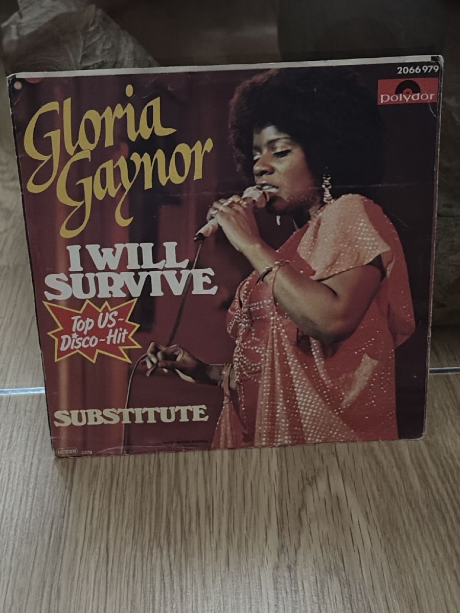 Schallplatten: Gloria Gaynor – Gebraucht aus Zürich von Collector69