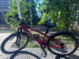 BMC Sportelite SE24 Kinder Mountainbike