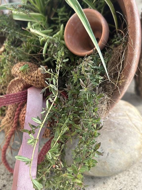 Vasi per fiori: Liegender Blumentopf bepflanzt  – Nuovo e nell'imballaggio originale da Frauenfeld venduto da Irene.Schuppli 3