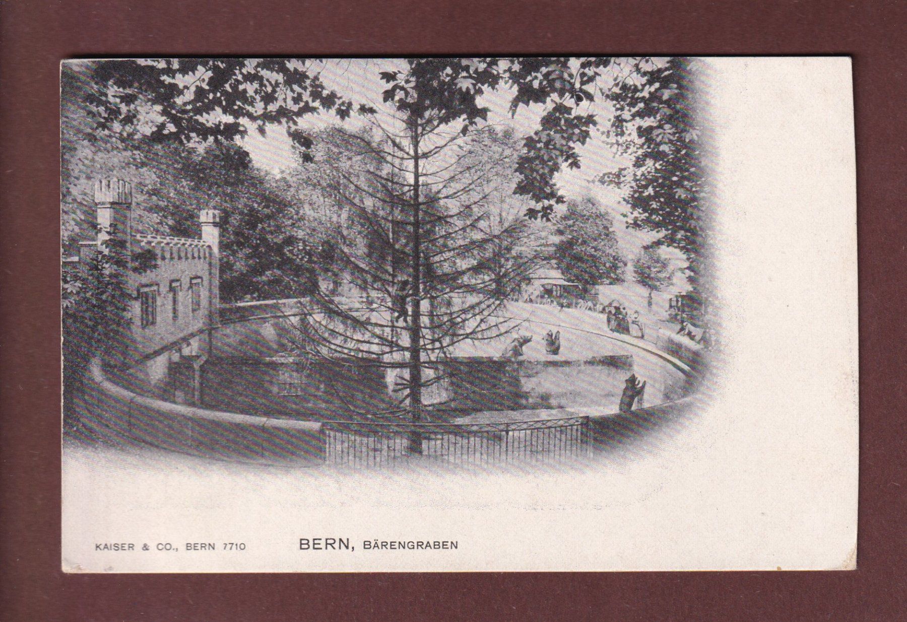 Cartoline postali: BERN - Bärengraben – Usato da Pully venduto da nicecards-shop