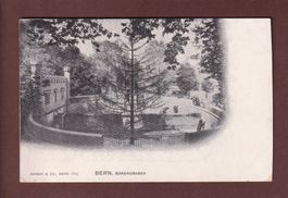 BERN - Bärengraben