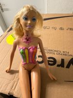 Barbie Fayritopia Magic of the Rainbow (Fernbedienung)