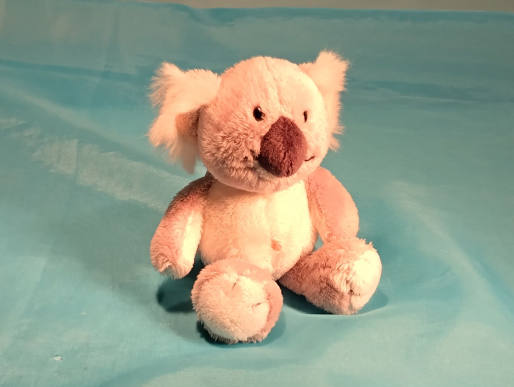 Nici Spielzeuge: NICI Koala, 15cm – Gebraucht aus Bellach von JingleCherry
