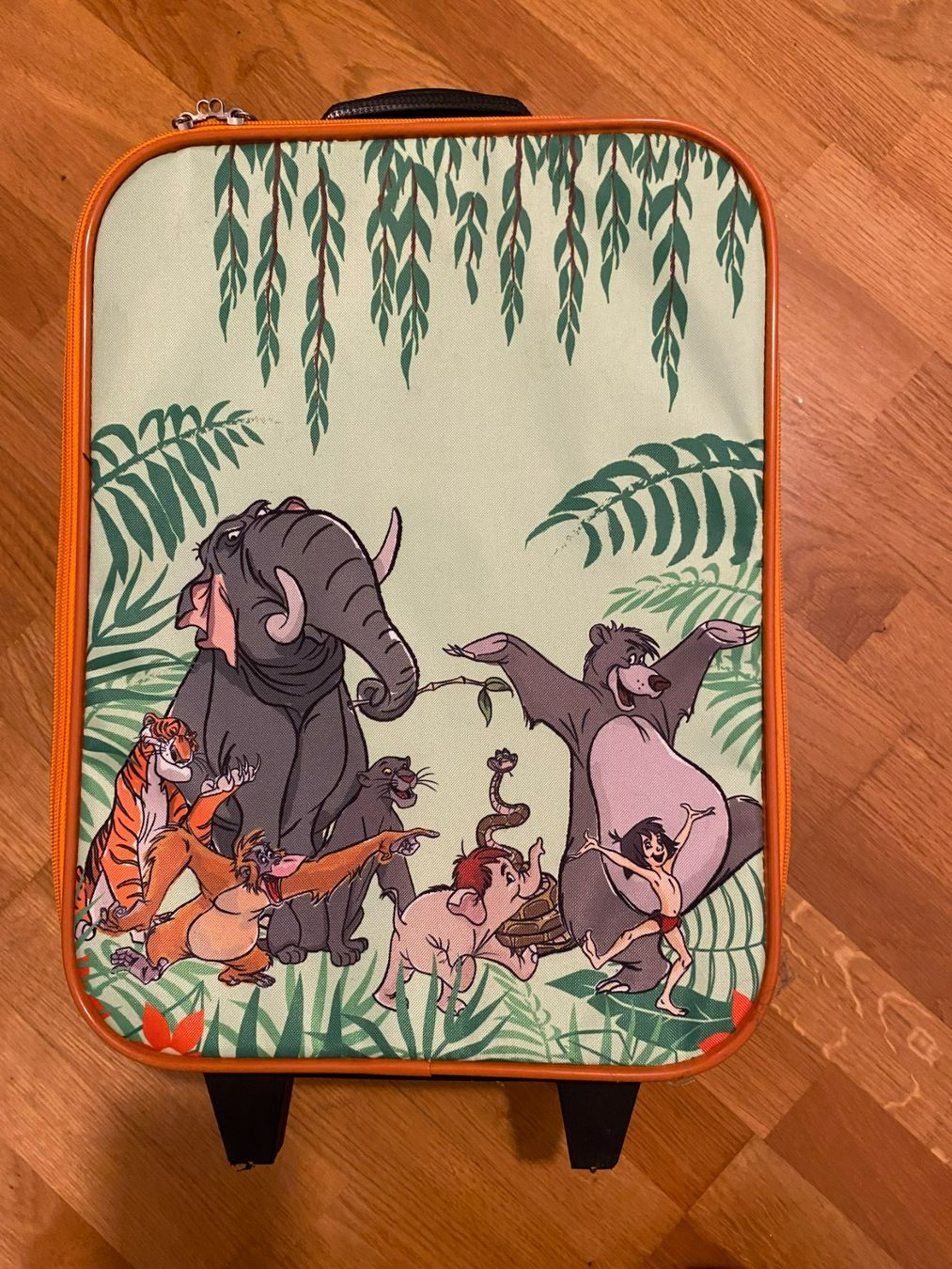 Disney Valigie: Kinderkoffer – Usato da Langenthal venduto da Regentropfe