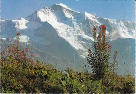 Jungfrau BE