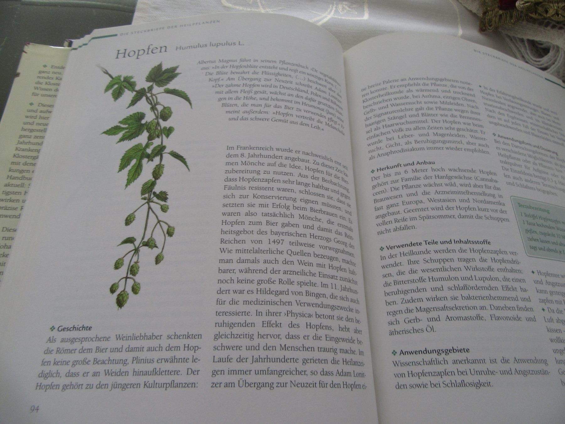 Livres: Handbuch der Kloster Heilkunde – Neuf (Voir description) à Mels par Sandylein 3