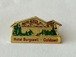 1 Pin Hotel Burgseeli Goldswil