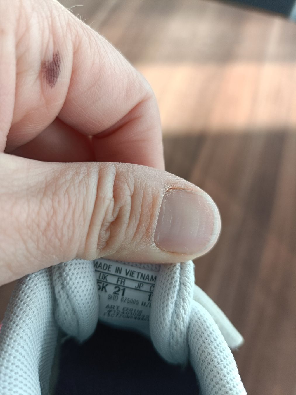 Adidas Scarpe per ragazzi: Adidas Sneaker Gr. 21 – Nuovo (secondo la descrizione) da Biberist venduto da Stylux01 2