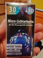 LED Micro-Lichterkette, 30 Lichter, Neu, Stimmungsvoll
