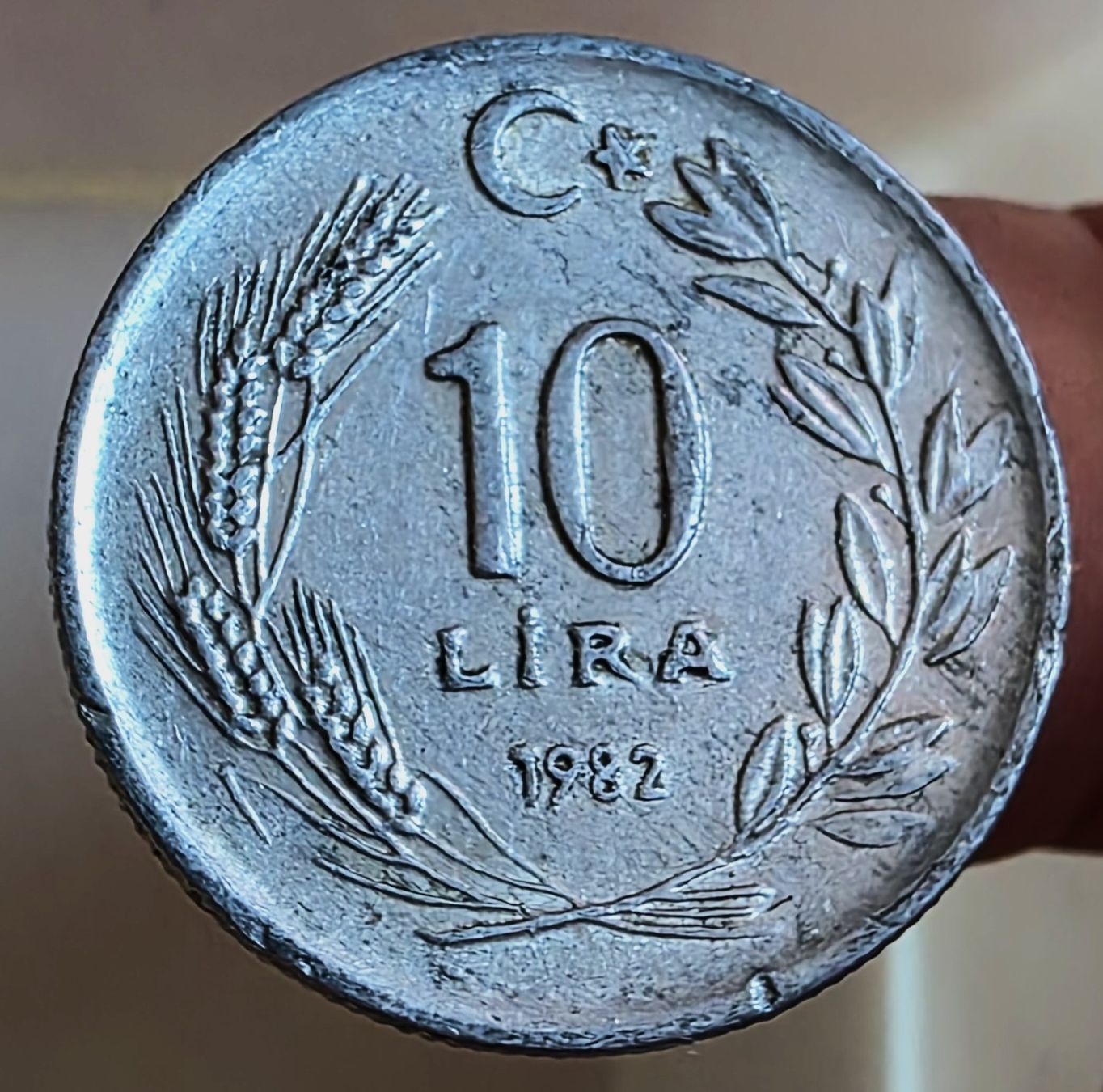 Tutti le monete: TÜRKEI 10 LIRA 1982 – Usato da Winterthur venduto da Creso70 1