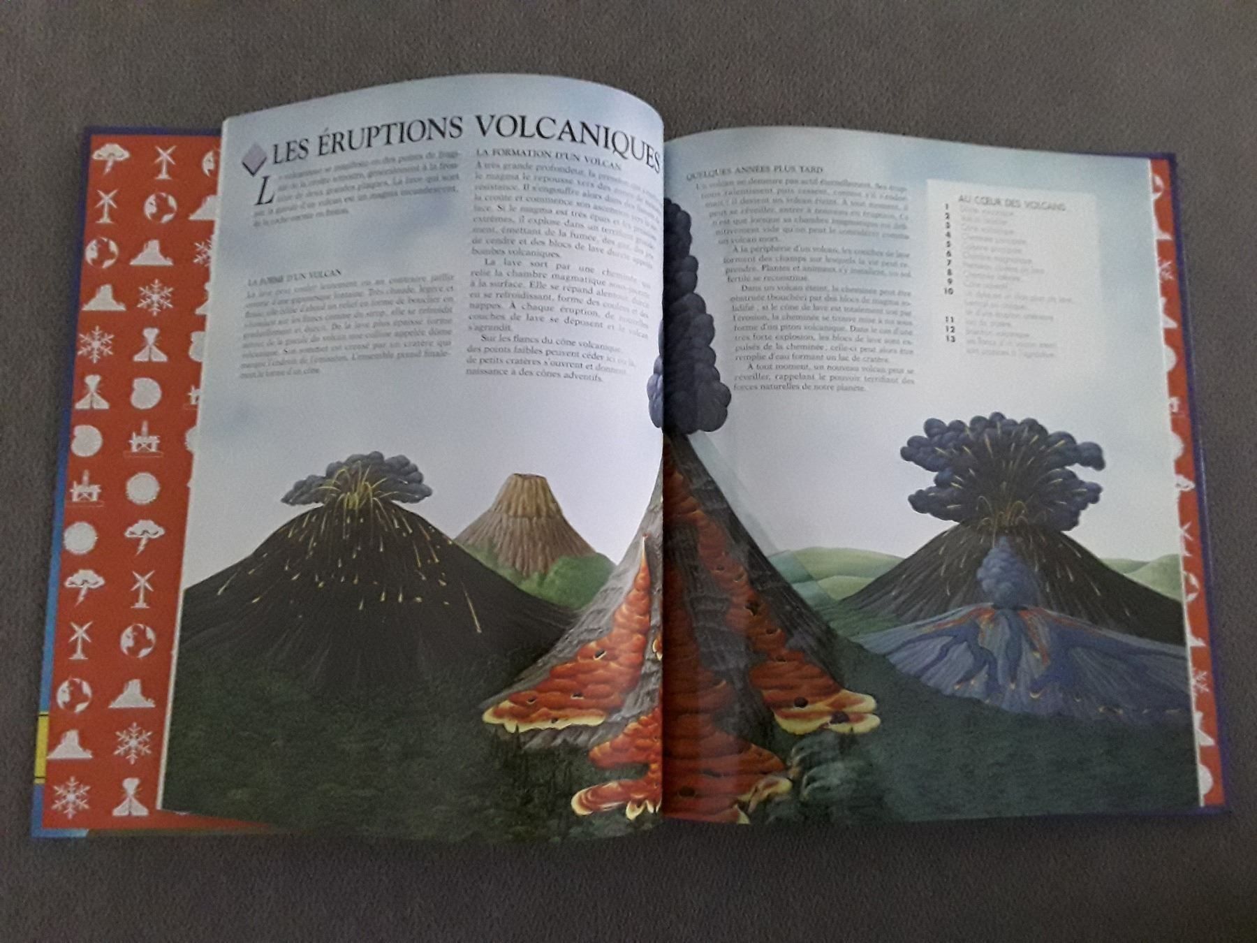 Fumetti: Chez les mammifères / Planète Terre – Usato da Courgenay venduto da Romano-Athletics 3