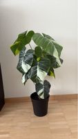 künstliche weisse Monstera Zimmerpflanze