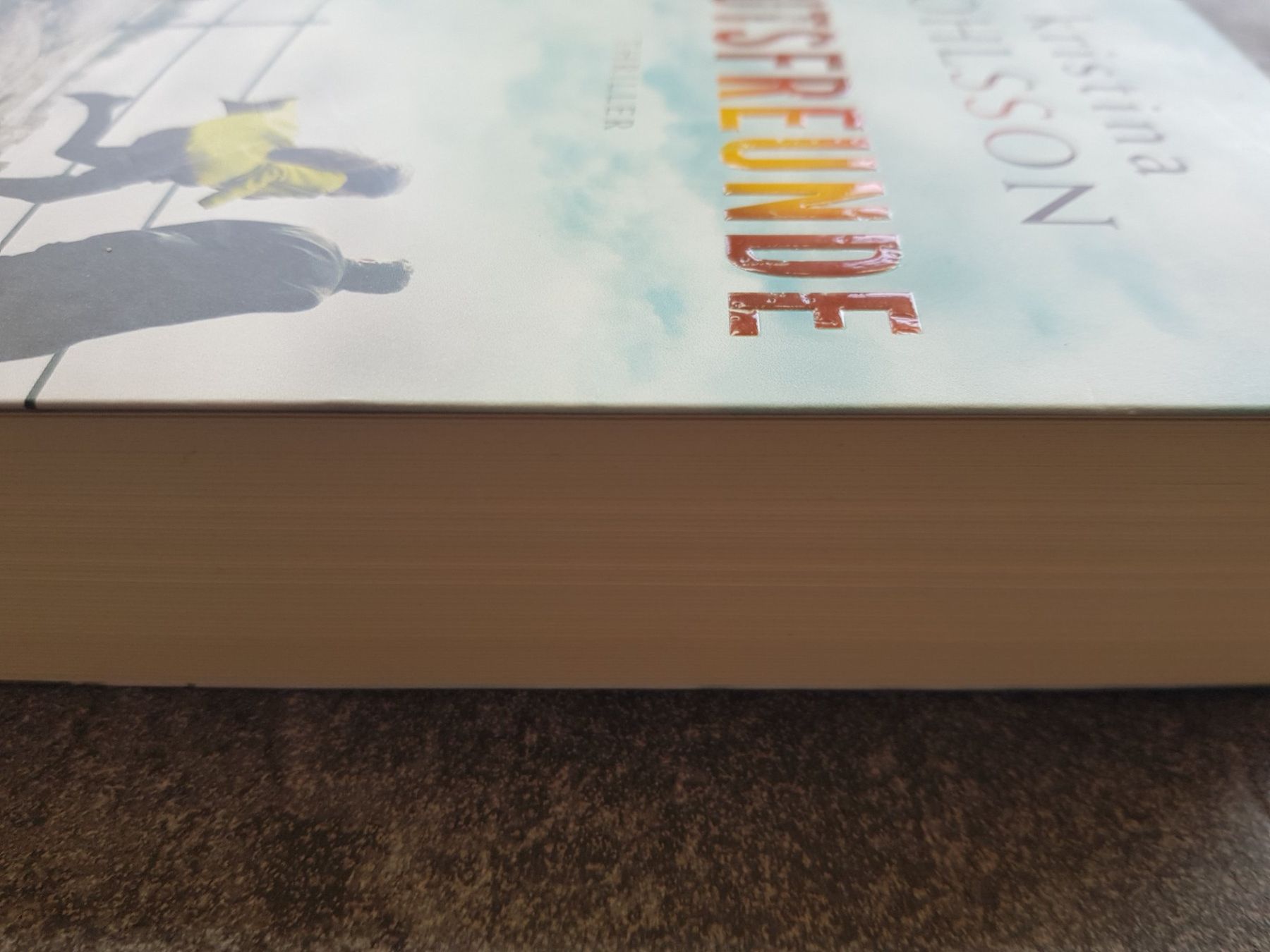 Libri: BLUTSFREUNDE / Kristina Ohlsson / Thriller – Usato da Dietikon venduto da marconi07 2