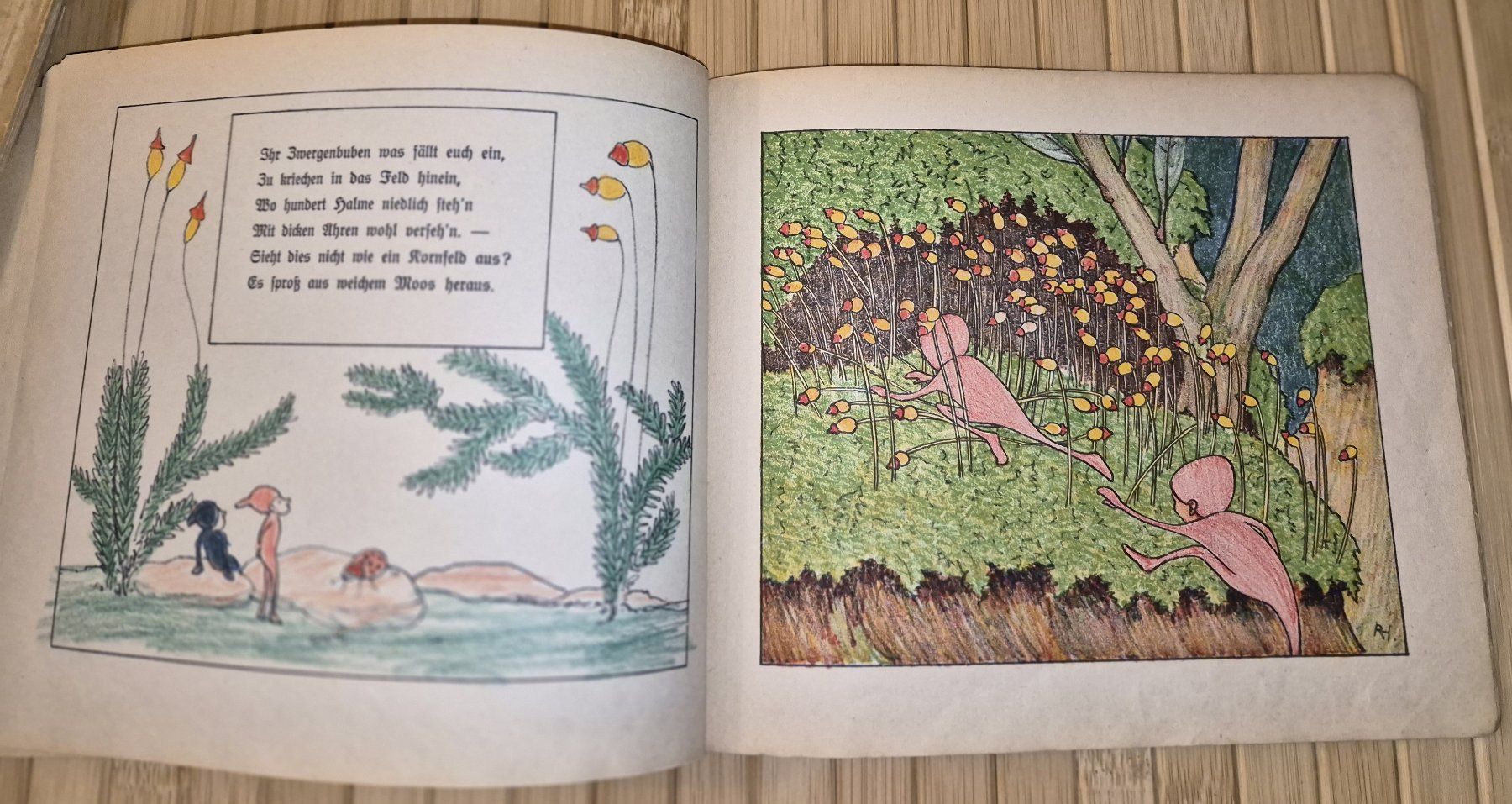 Libri: 2 seltene, antike Kinderbücher v. Robert Hardmeyer – Usato da Basel venduto da Kurioses 8