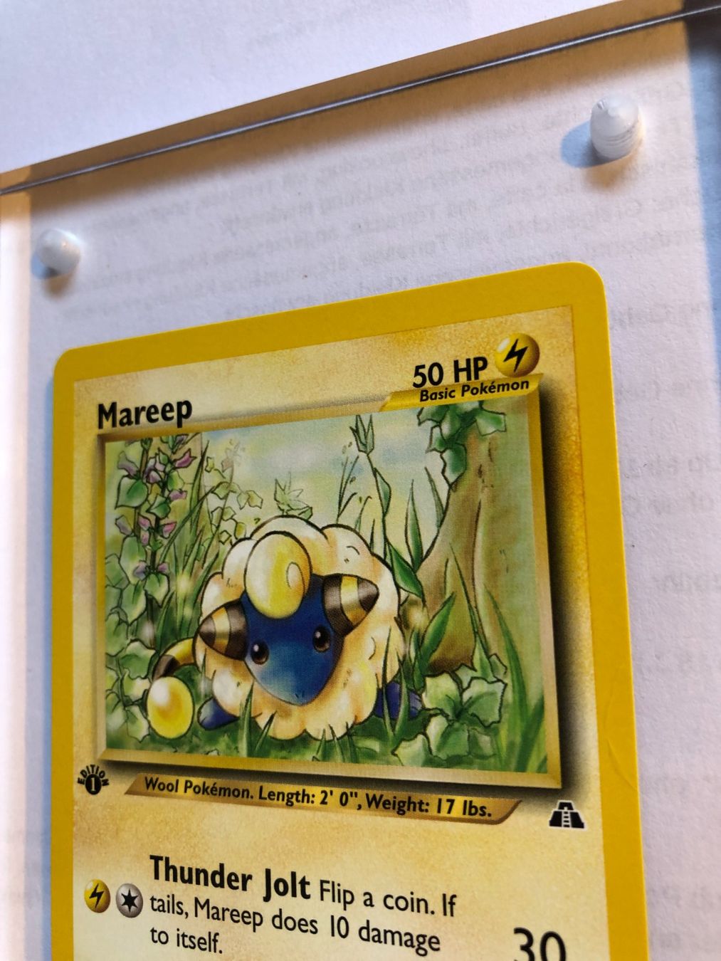 Carte collezionabili: Mareep 1st Neo Discovery - MINT - ab 1.- – Usato da Giubiasco venduto da dan_pr8b 3