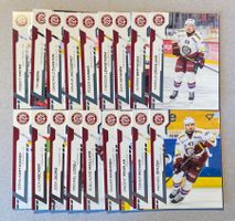 National League - Serie 1 - Base-Karten komplett - GSHC