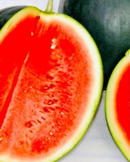 Pflanzen & Samen: 10 stk SAMEN Wassermelone SUGAR BABY – Neu und originalverpackt aus Rovio von POSITIFFARTandPLANTS 3