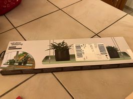 Support pour plantes fenêtre Esschert design plateau vert