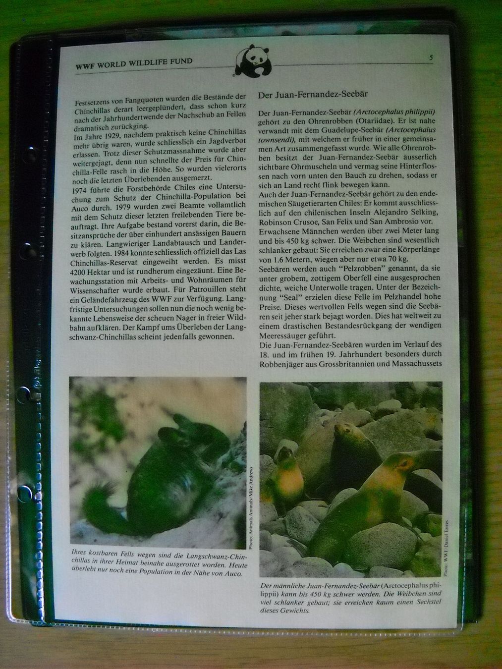 Tutti i francobolli: WWF Bedrohte Tierarten Chiles Dokument mit Briefmarken – Nuovo (secondo la descrizione) da Boningen venduto da FrediP 4